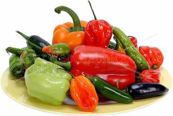 photo - chilli_-peppers-2-jpg